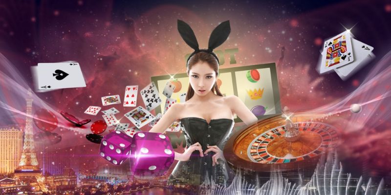 Tham khảo ngay 4 bí kíp cá cược tại Allbet Gaming