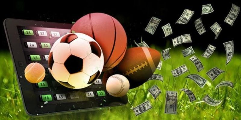 Giới thiệu chung về sảnh Saba Sports